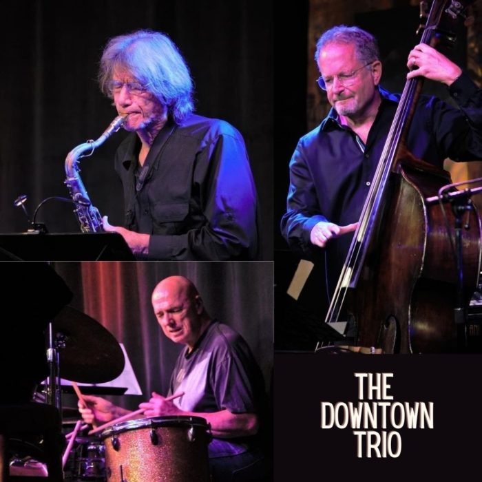 The Downtown Trio in Concert